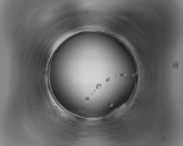 X0000113261440200909171639