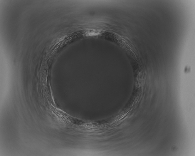 X0000113261441200909171638