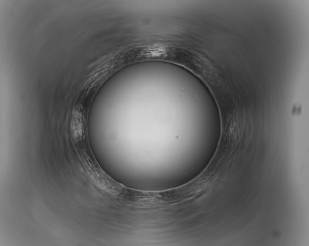 X0000113261442200909171638