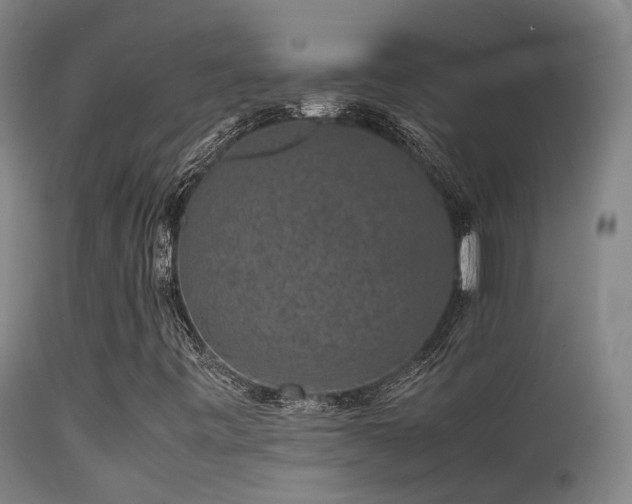 X0000113261443200909171638