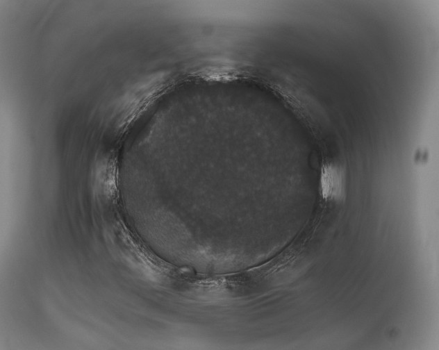 X0000113261444200909171638