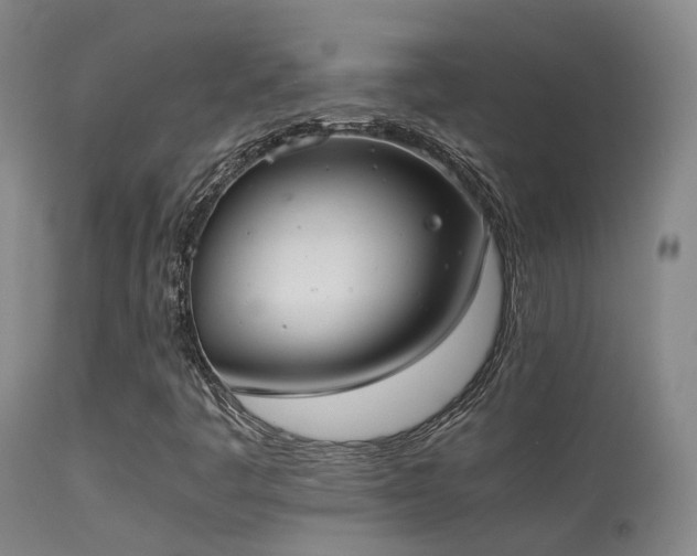 X0000113261445200909171638