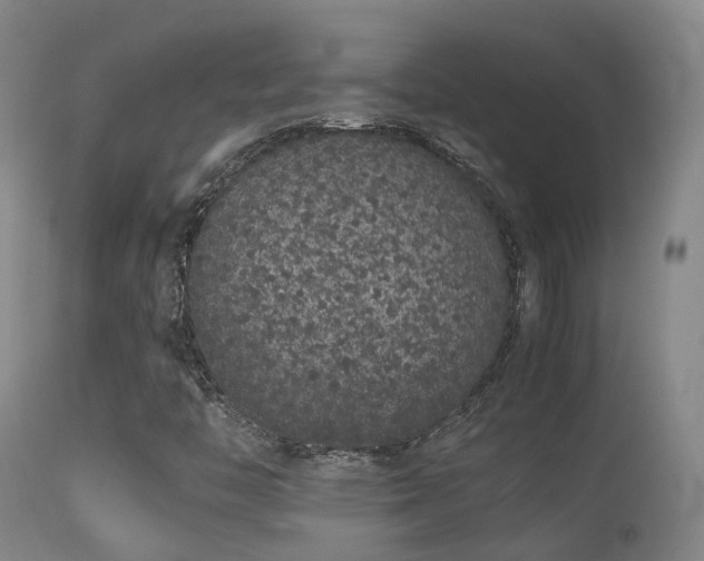 X0000113261446200909171638