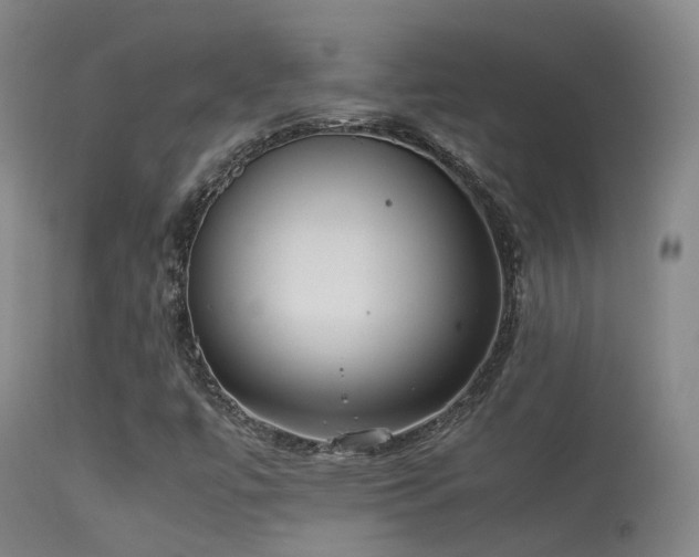 X0000113261447200909171638