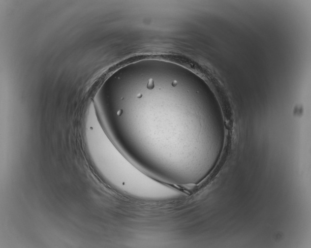 X0000113261449200909171638