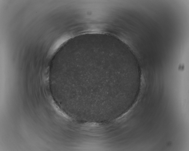 X0000113261450200909171638