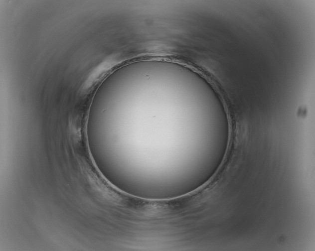 X0000113261451200909171638