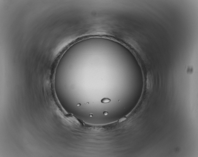 X0000113261452200909171638