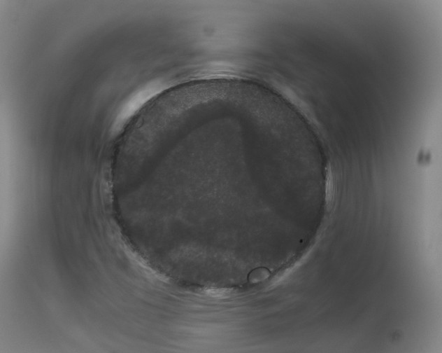 X0000113261453200909171638