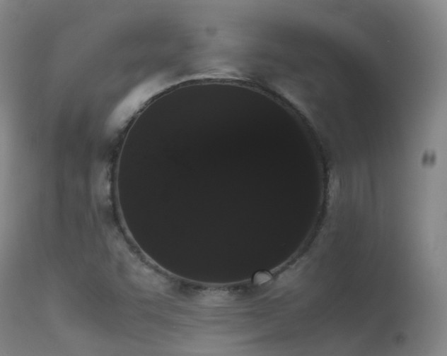 X0000113261455200909171638