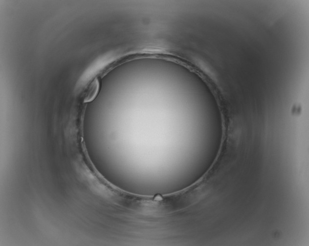 X0000113261456200909171638