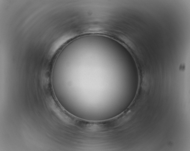 X0000113261458200909171638