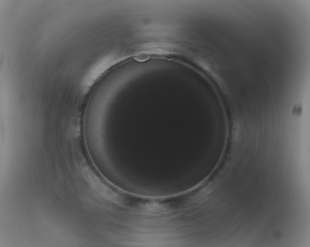 X0000113261459200909171638