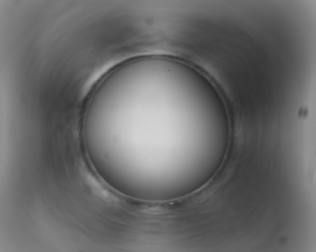 X0000113261460200909171638