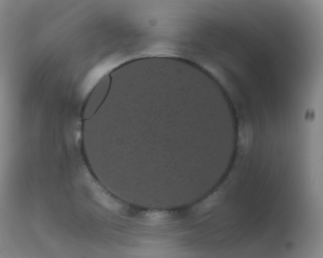 X0000113261461200909171638