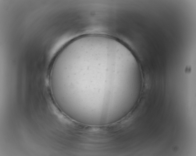 X0000113261462200909171638