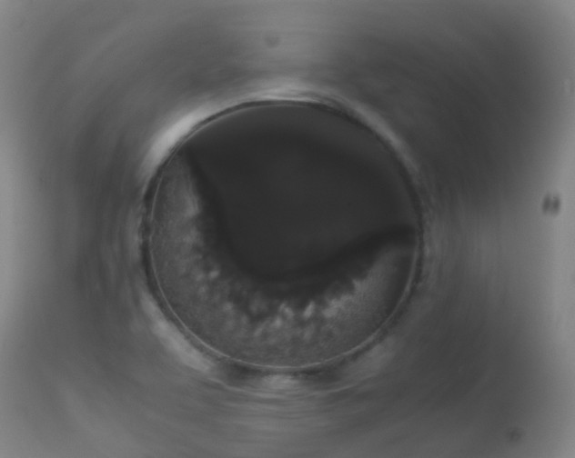 X0000113261463200909171638