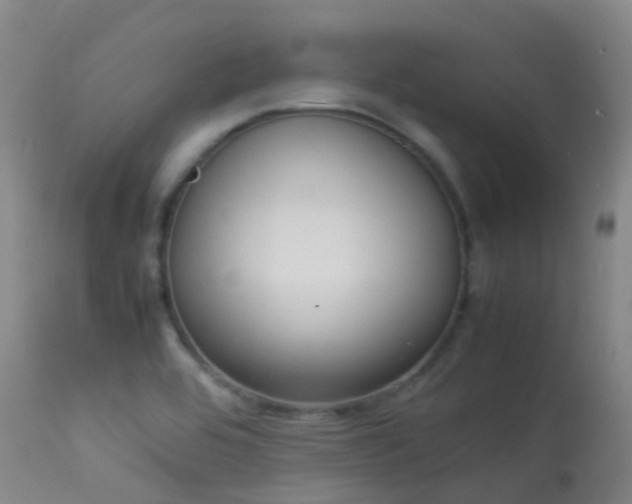 X0000113261464200909171638