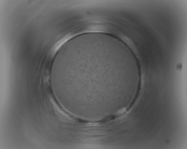 X0000113261465200909171638