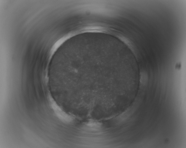 X0000113261466200909171638