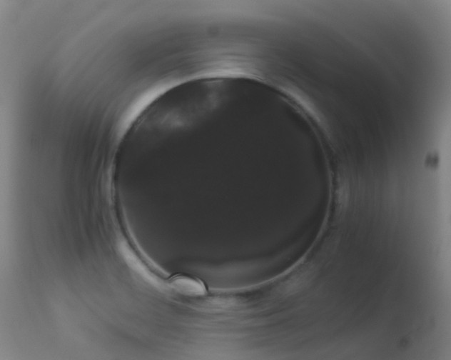 X0000113261468200909171638