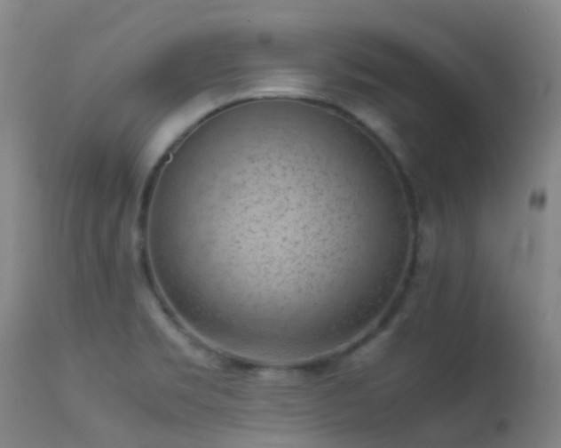 X0000113261469200909171638