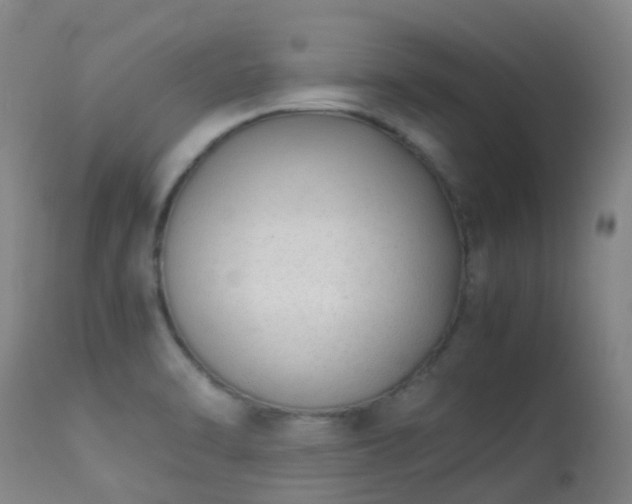 X0000113261470200909171638