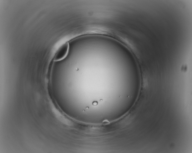 X0000113261471200909171638