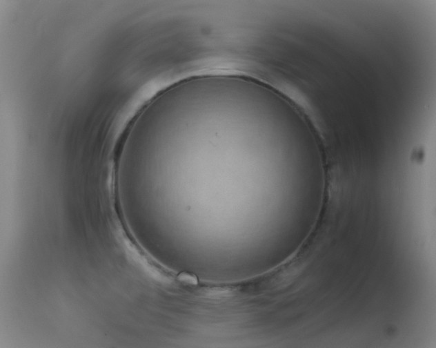 X0000113261472200909171638