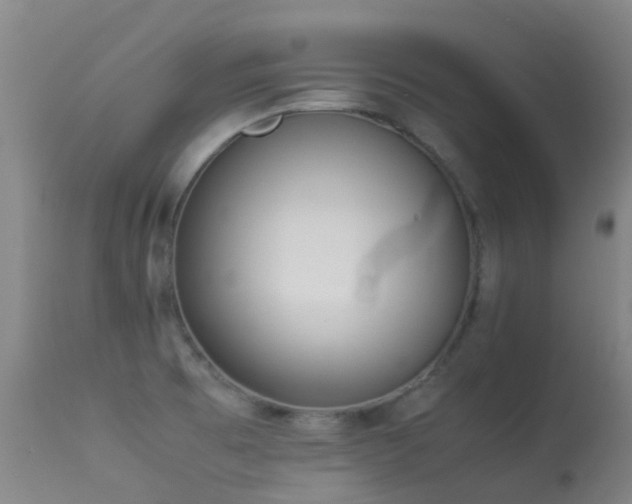 X0000113261473200909171638