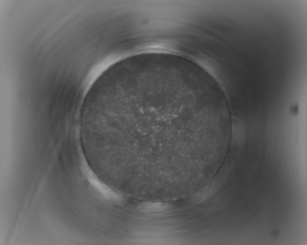 X0000113261474200909171638