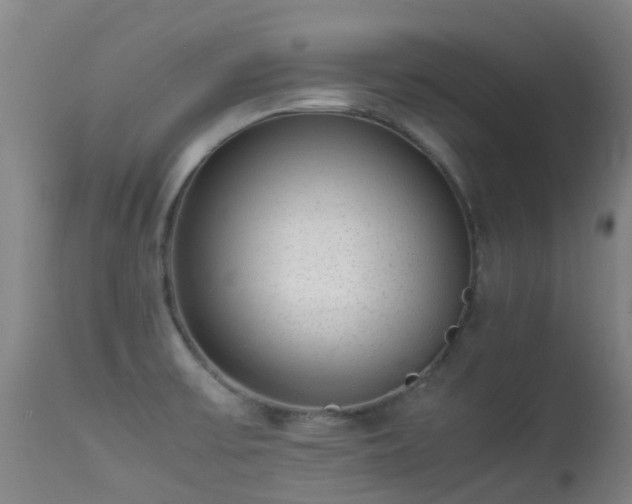 X0000113261475200909171638