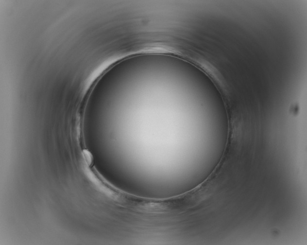 X0000113261476200909171638