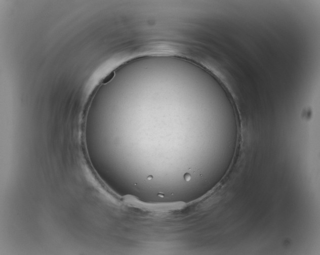 X0000113261477200909171638