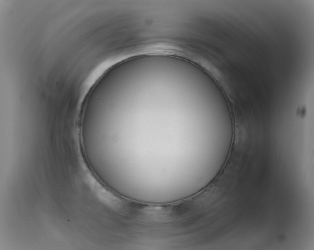 X0000113261478200909171638