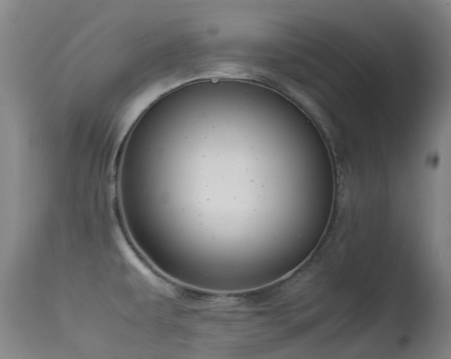 X0000113261479200909171638