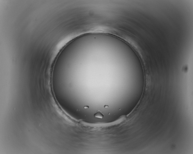 X0000113261480200909171638