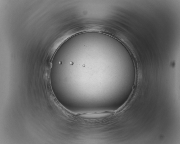 X0000113261481200909171638