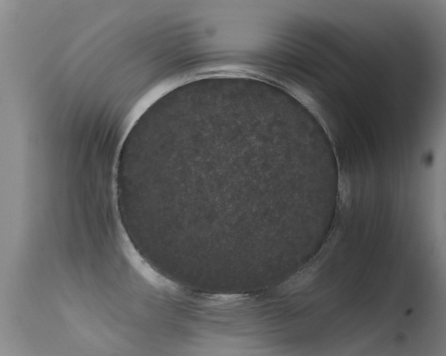 X0000113261482200909171638