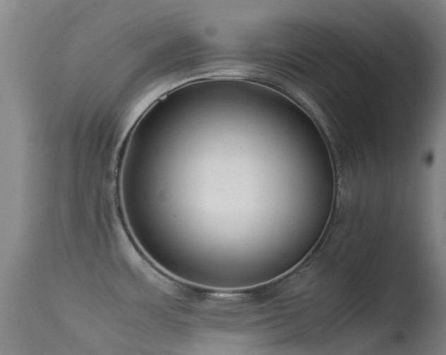 X0000113261483200909171638