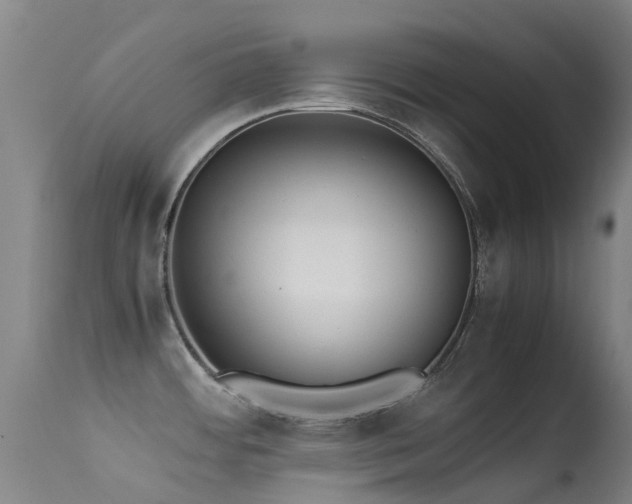 X0000113261484200909171638