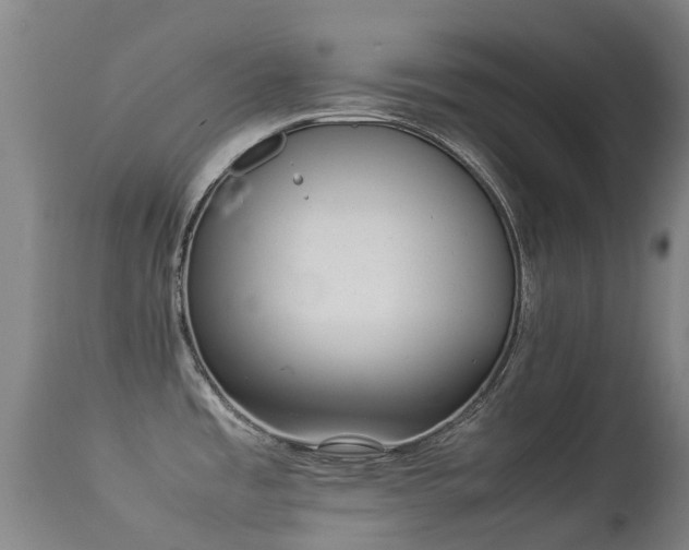 X0000113261485200909171638