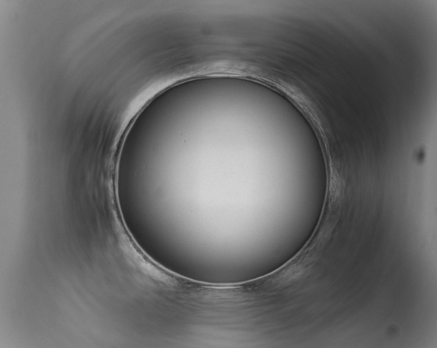 X0000113261486200909171638