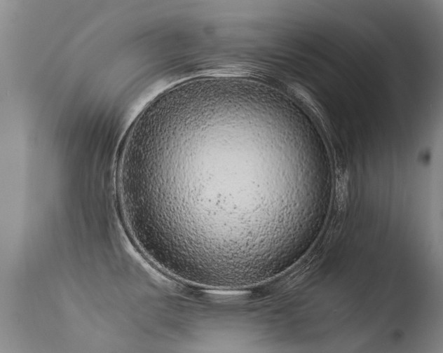 X0000113261487200909171638