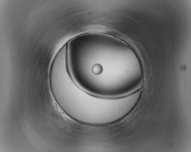 X0000113261488200909171638