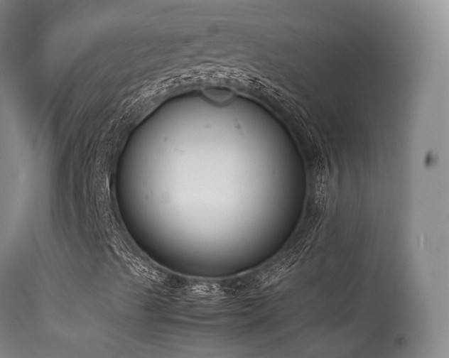 X0000113261489200909171637