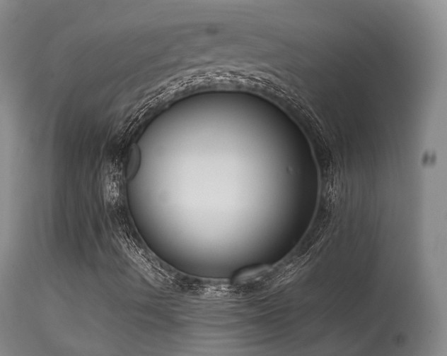 X0000113261490200909171637