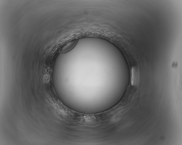 X0000113261491200909171637