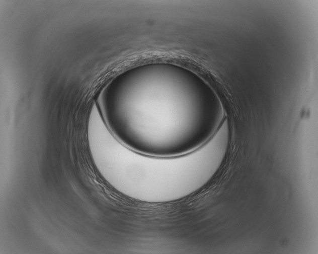 X0000113261492200909171637