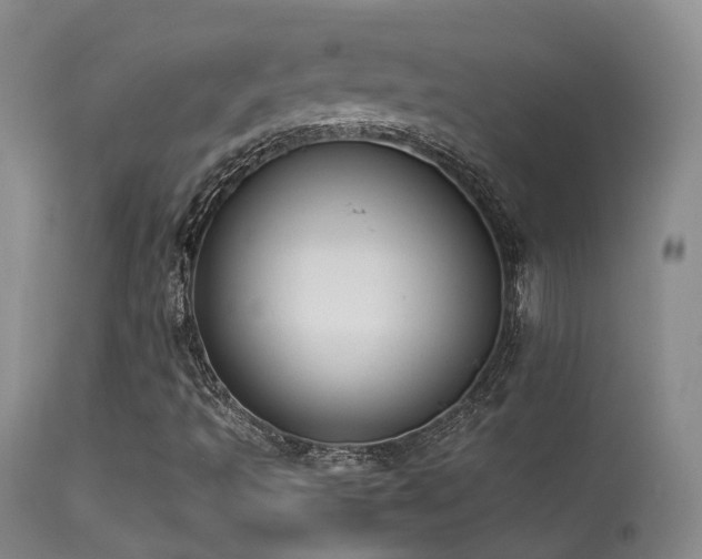 X0000113261493200909171637